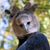 Linda Richter's profile image