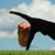 Stephanie Williams's profile image