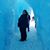 Kristen Bohm's profile image