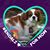 Teresa Norris's profile image