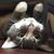 Dee Lawn's profile image