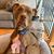 Shelley Aniciete's profile image
