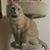 Nancy Pulfrey's profile image