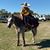 Dulce Maria Acosta Barron's profile image