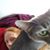 Amelia Hurlock Boomker's profile image