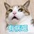 Cuckoo Malo's profile image
