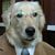 Jesse Rogers's profile image
