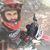Alex Marinho's profile image