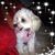 Marie Heatley's profile image