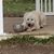 Barb C. King's profile image