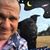 Gregory Martin's profile image