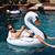 Rob Sciutto's profile image