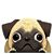 Tina Anderson's profile image