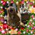Shirley Sanderson Wingate's profile image