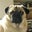 Russ Goodman's profile image