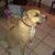 Lennie McCain's profile image