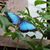 Karen Dube's profile image