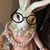 Dianne Corrigan's profile image