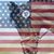 Kim Wentrcek's profile image
