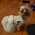 Janet Hammer Mitchell's profile image