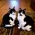 Debbie Gutzman's profile image