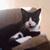 Amy Koenemann's profile image