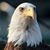 Angelene Chritton's profile image