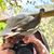 Jeff Atkin's profile image