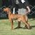 Kelly Pease's profile image