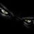 Mauro Gil's profile image