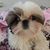 Tommie Owen's profile image