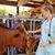 Rachel Johnson's profile image