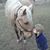 Savannah Rassi's profile image