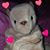 Heather Batts's profile image