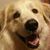 Sharon Mcgirt-Kill's profile image