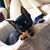 Lueta Hubbard Bonner's profile image