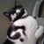 Lois Mowat's profile image
