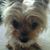 Vicki Fischer's profile image