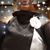 Frances Shields-Jackson's profile image