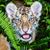Sue Nassivera's profile image