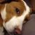Charlie Rydstrom's profile image