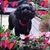 MaryJane Himes's profile image