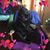 Trudy Bennett's profile image