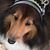Maria Tetteris's profile image