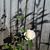 Anne Wright-Guddal's profile image