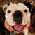 Lola Kinsey's profile image