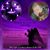 Janice Bell Ridgley's profile image
