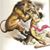 Anurag Singh Rajput's profile image