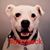 Connie Sams Rebman's profile image