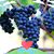 Gabriele Keeler's profile image